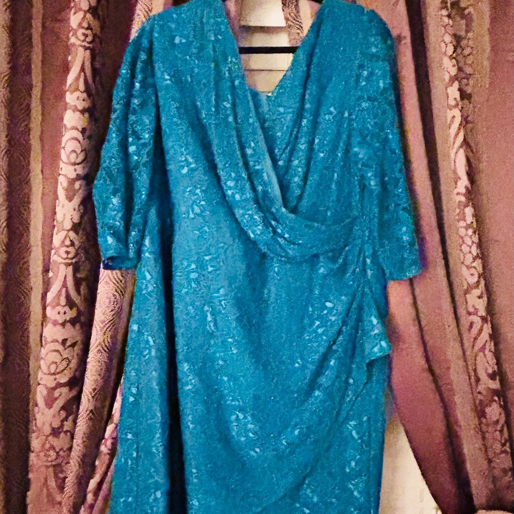 Sparkly Sequin Lace Dress 3/4 Sleeve Chiffon Long Sleeve Alex Evenings